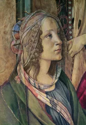 Detalhe, de, st. Catherine, de, a, retábulo, de, san, Barnaba, c.1488, tempera, ligado, painel